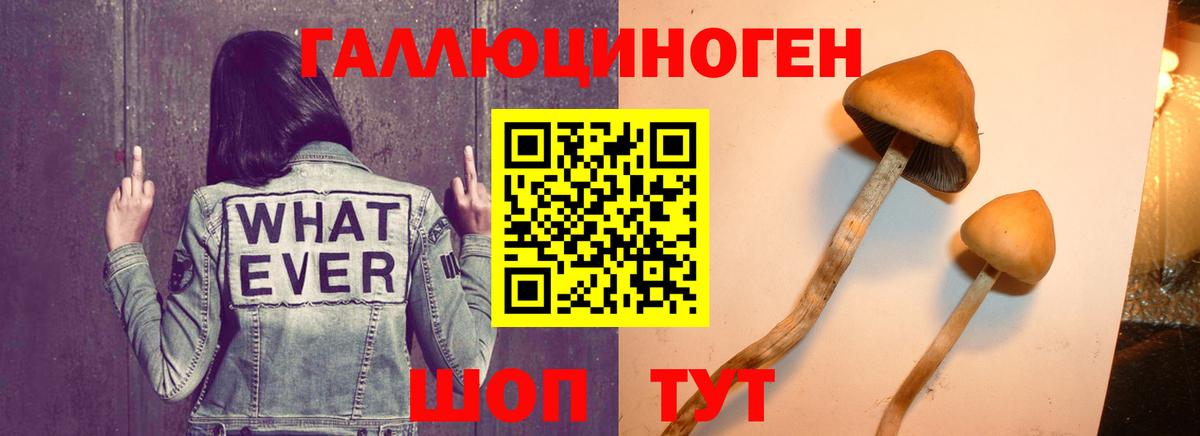 Галлюциногенные грибы ЛСД  Галлюциногенные грибы ЛСД  Вход с VPN  Асино 